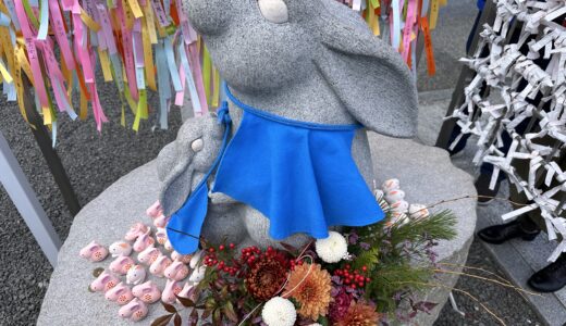 善通寺市・多度津町・三豊市にある7寺で「七ヶ所まいり 花めぐり」が2022年12月29日 (木)〜2023年1月31日 (火)まで開催中