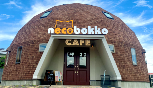 多度津町堀江に「necobokko cafe (ねこぼっこカフェ)」が2023年8月17日 (木)にオープン