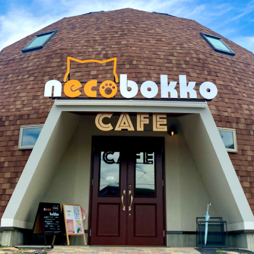 多度津町堀江 necobokko cafe