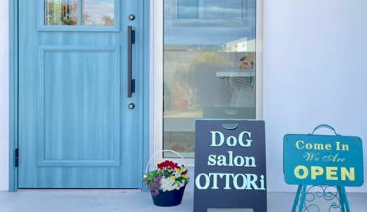 丸亀市垂水町に「DoG salon OTTORi」が2023年12月1日 (金)にオープン