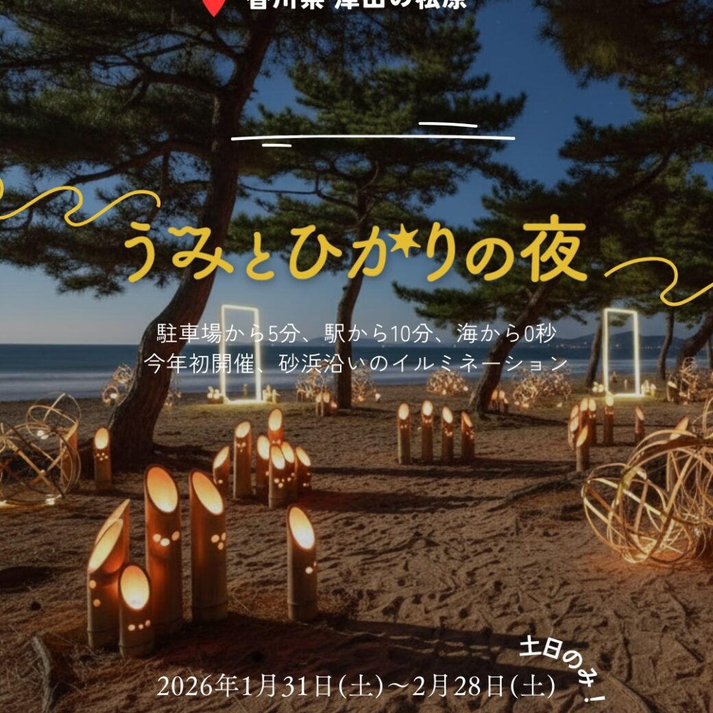 津田の松原琴林公園 うみとひかりの夜