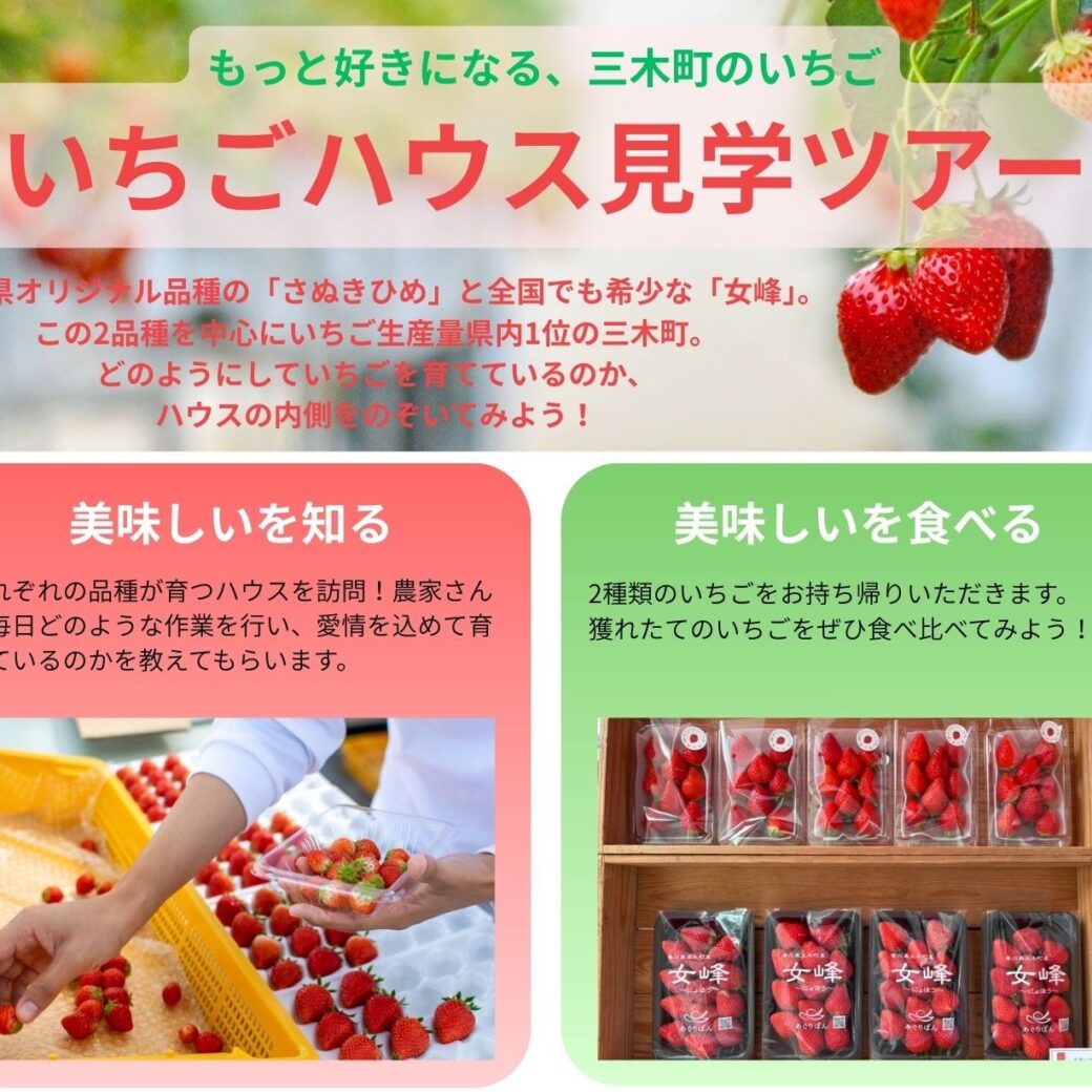 三木町 いちごハウス見学ツアー