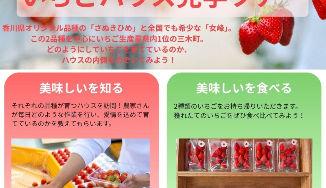 三木町でいちごハウス見学ツアーが2026年2月28日 (土)に開催