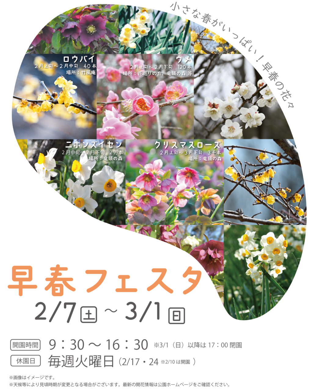 国営讃岐まんのう公園 早春フェスタ