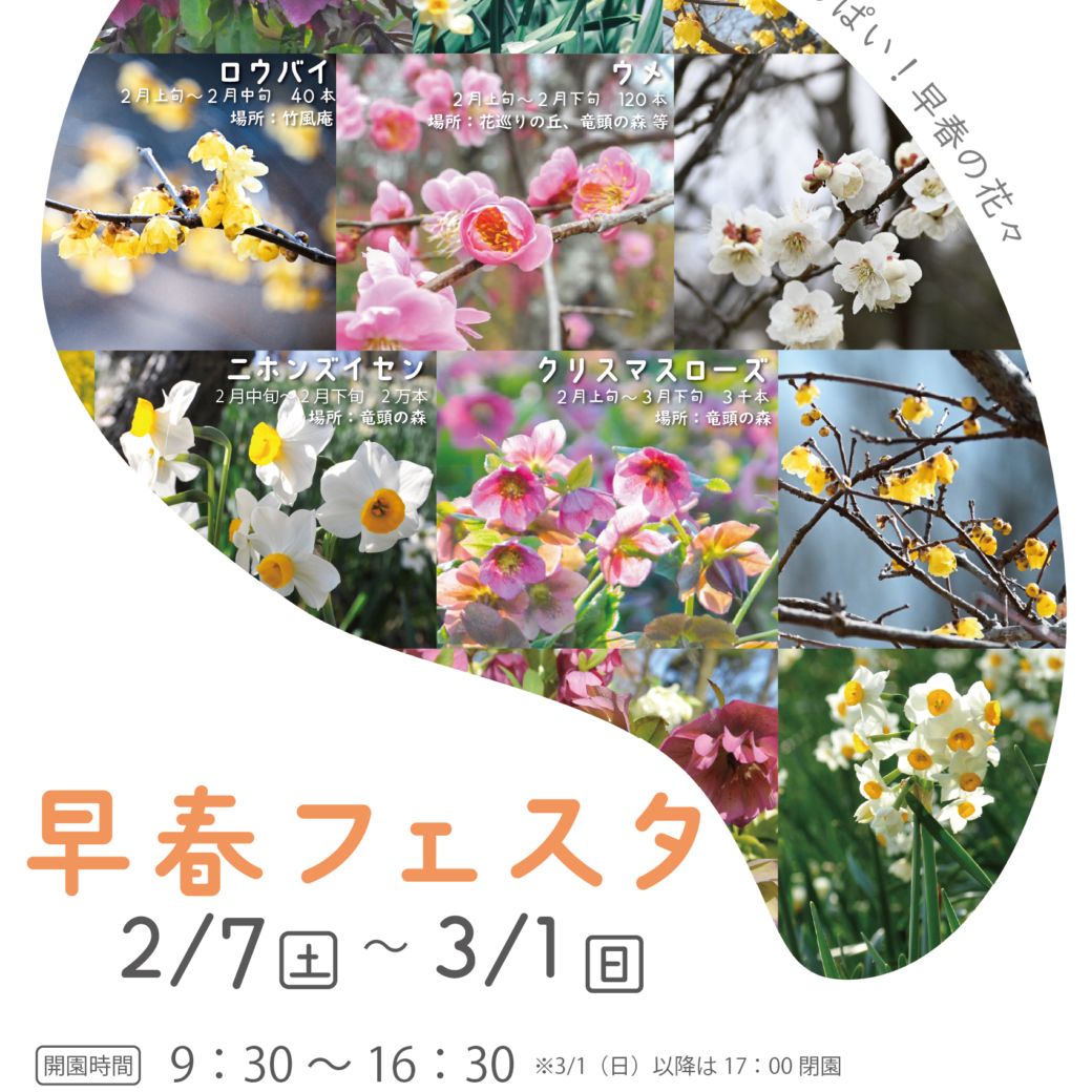 国営讃岐まんのう公園 早春フェスタ