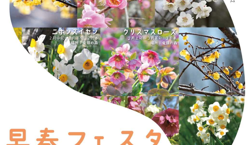 国営讃岐まんのう公園で「早春フェスタ」が2026年2月7日 (土)-3月1日 (日)まで開催