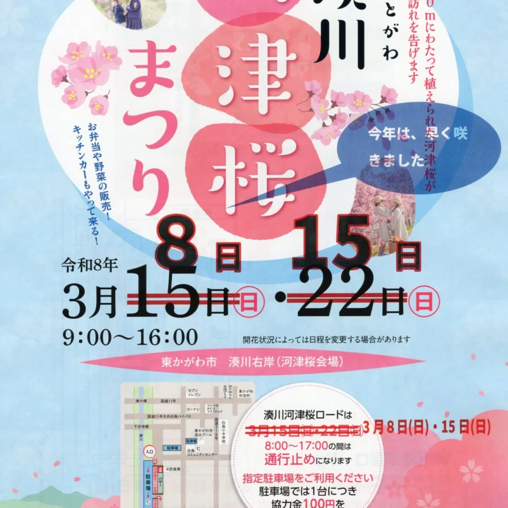 湊川河津桜まつり