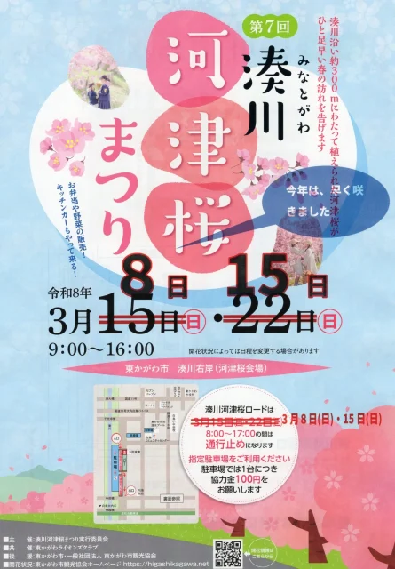 湊川河津桜まつり