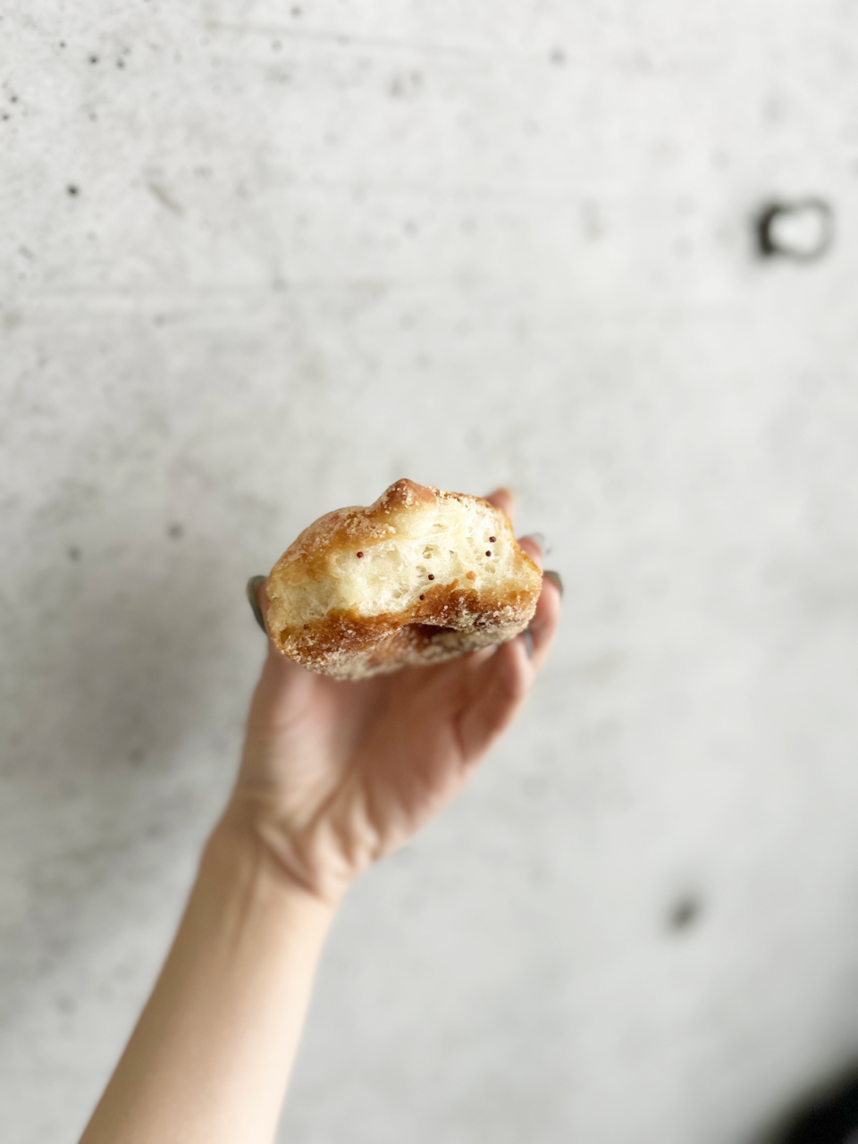 暮らしの森 まち猫ドーナツ