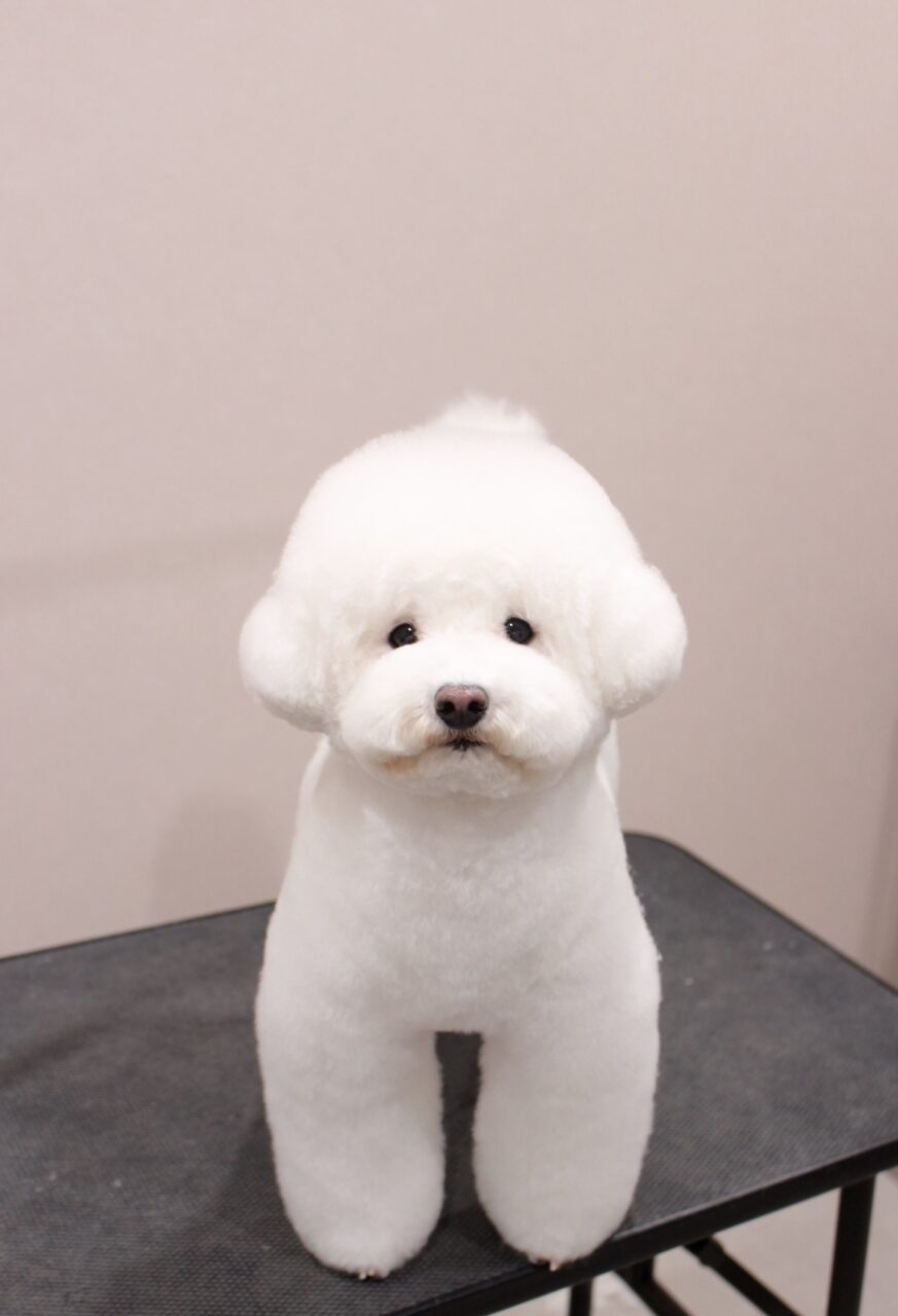 高松市牟礼町 Mu.To