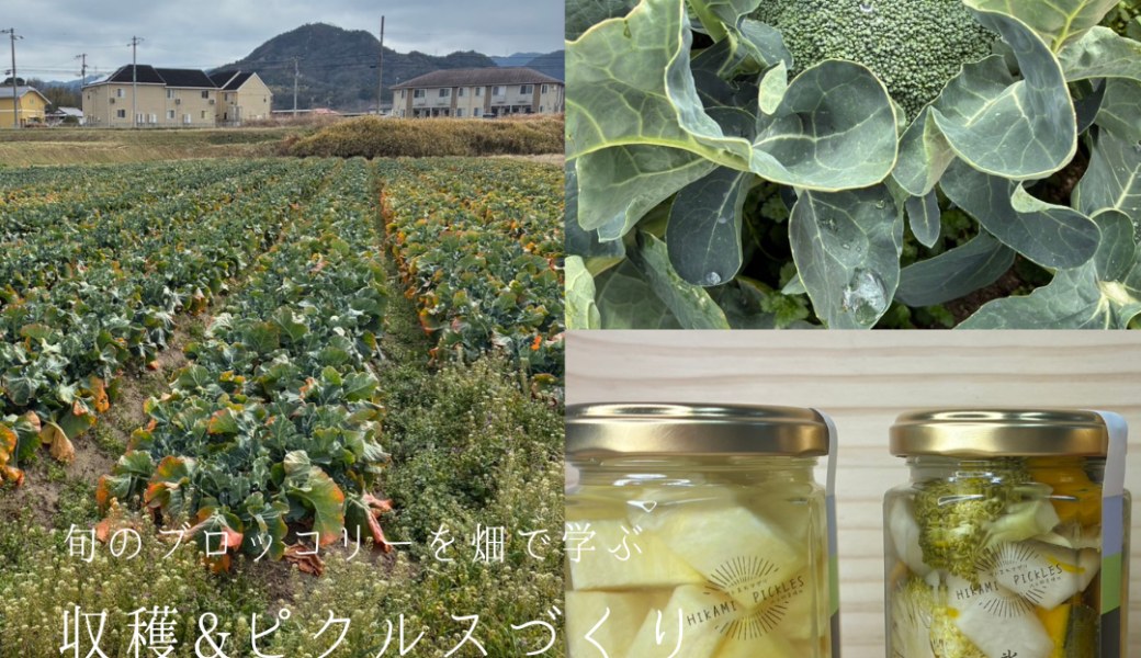 サンサン館みきで「ブロッコリー収穫＆ピクルスづくり体験」が2026年3月20日 (金)に開催