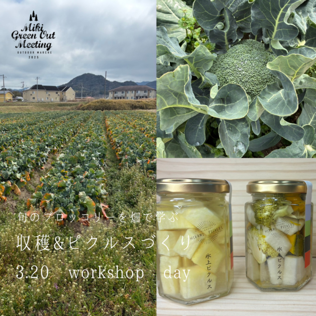 三木町 ブロッコリー収穫＆ピクルスづくり体験
