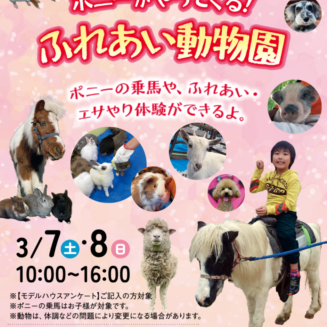 ポニーがやてくる！ふれあい動物園