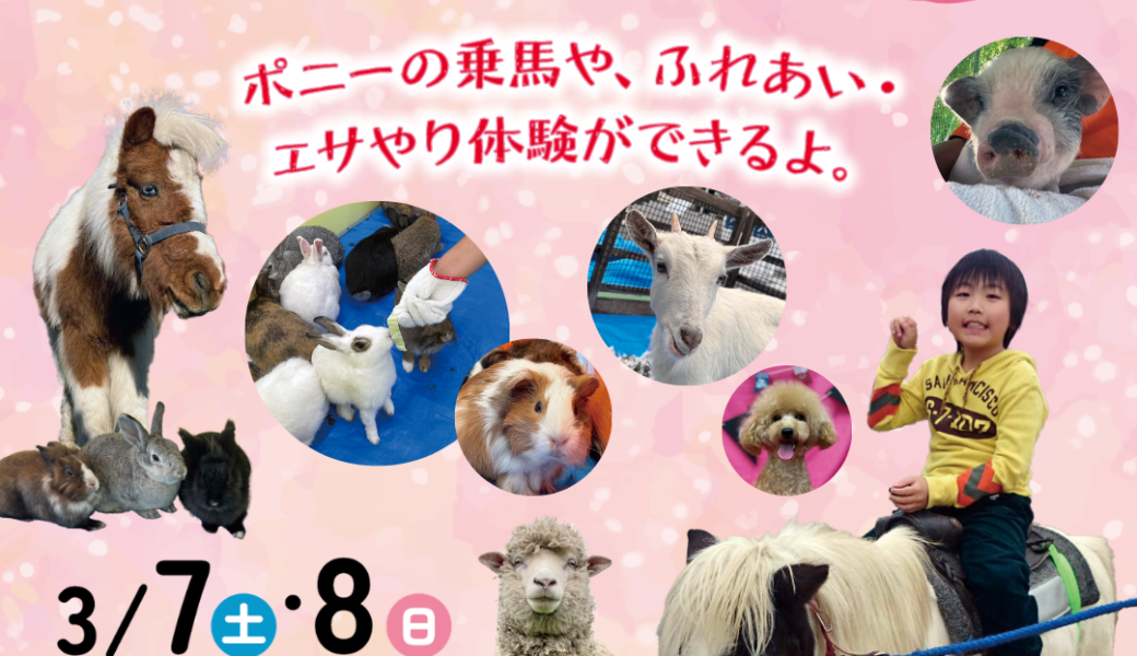 セトラ宇多津で「ポニーがやてくる！ふれあい動物園」が2026年3月7日 (土)、8日 (日)に開催