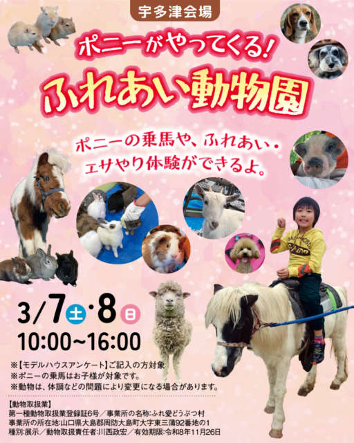 ポニーがやてくる！ふれあい動物園