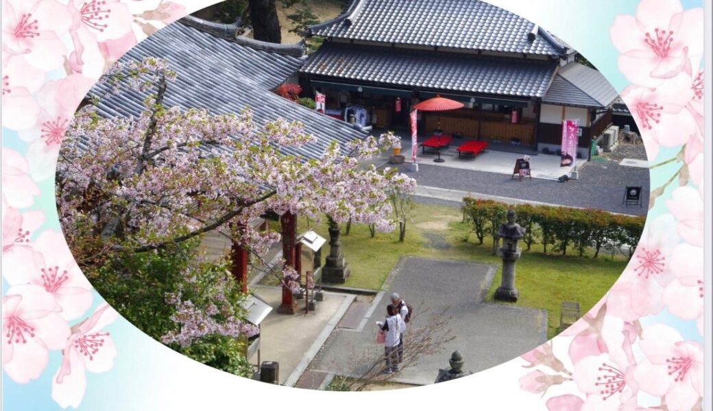 神恵院・観音寺で「ご縁がつながる春のお寺マルシェ」が2026年4月12日 (日)に開催