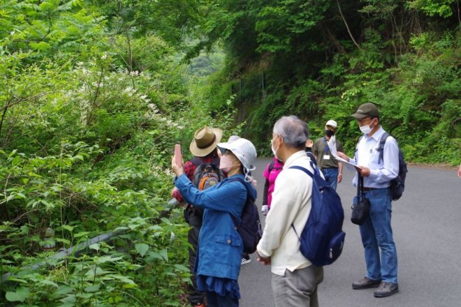 平家落人の郷 有木を歩く