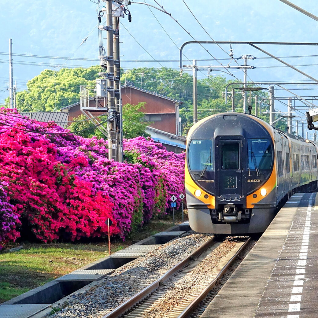 JR豊浜駅前広場 豊浜駅つつじ祭り