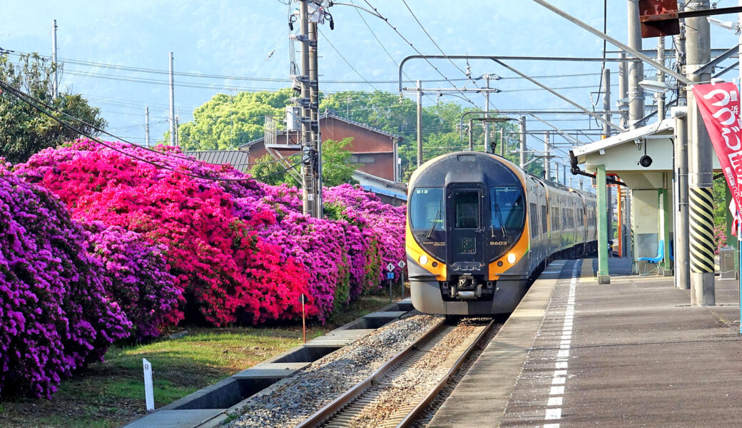 JR豊浜駅前広場で「豊浜駅つつじ祭り」が2026年5月3日 (日)に開催