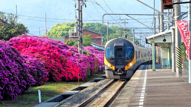 JR豊浜駅前広場 豊浜駅つつじ祭り