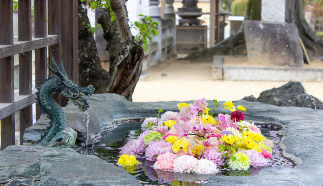 善通寺市で「四国霊場七ヶ所まいり 花めぐり」が2026年4月4日 (土)-12日 (日)に開催