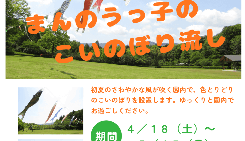 満濃池森林公園で「まんのうっ子のこいのぼり流し」が2026年4月18日 (土)-5月17日 (日)に開催
