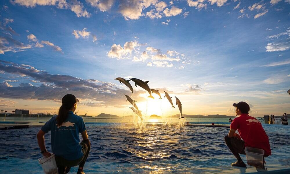 四国水族館で「Nightscapeこがねいろ2026 G.W.」が2026年5月2日 (土)-5日 (火)に開催