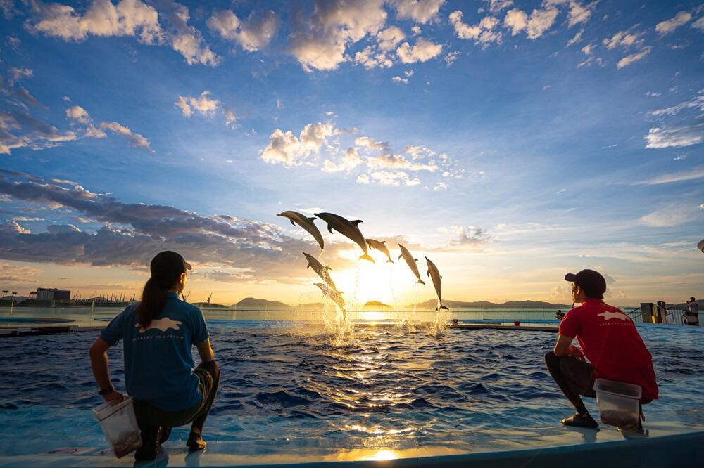 Nightscapeこがねいろ2026-G.W