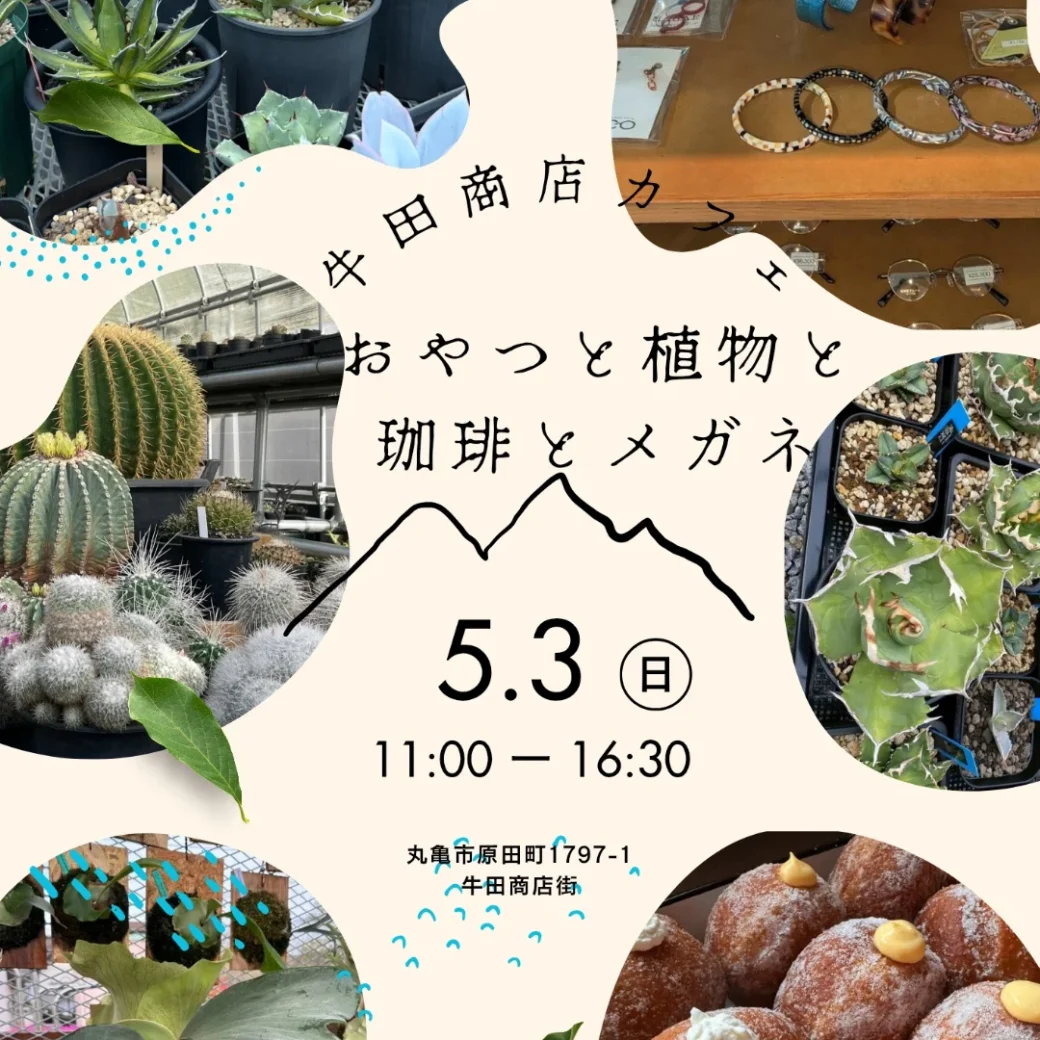 おやつと植物と珈琲とメガネ