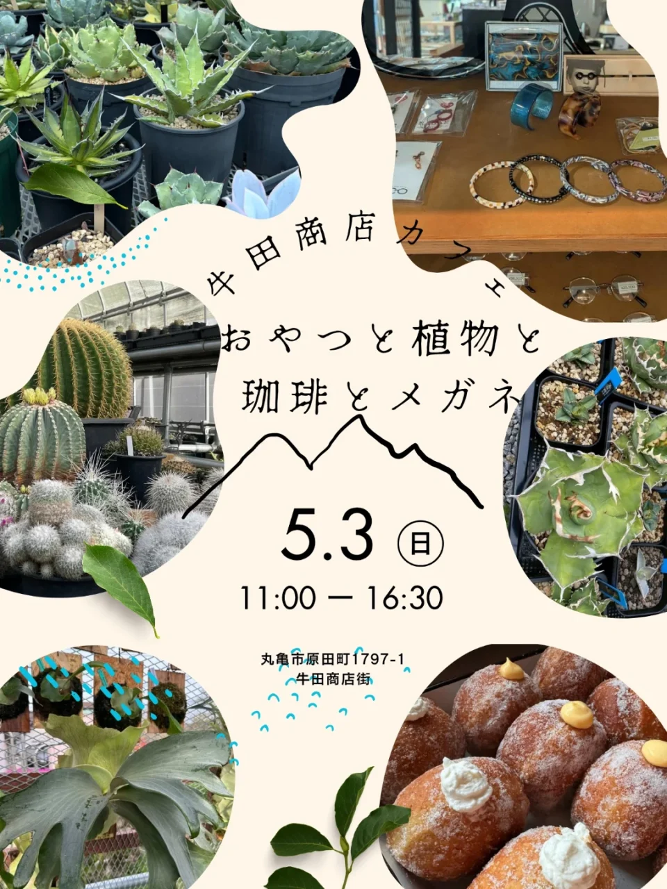 おやつと植物と珈琲とメガネ