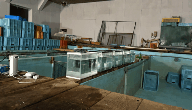 坂出市王越町 せとうち水族館