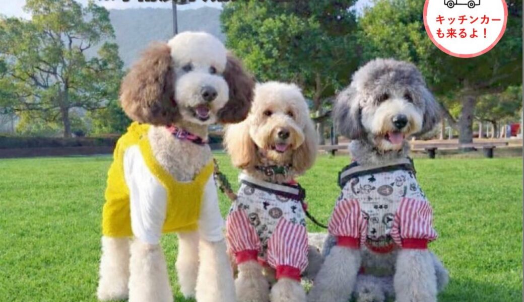 香川県総合運動公園で「瀬戸内わん+にゃんマーケット」が2026年5月24日 (日)に開催