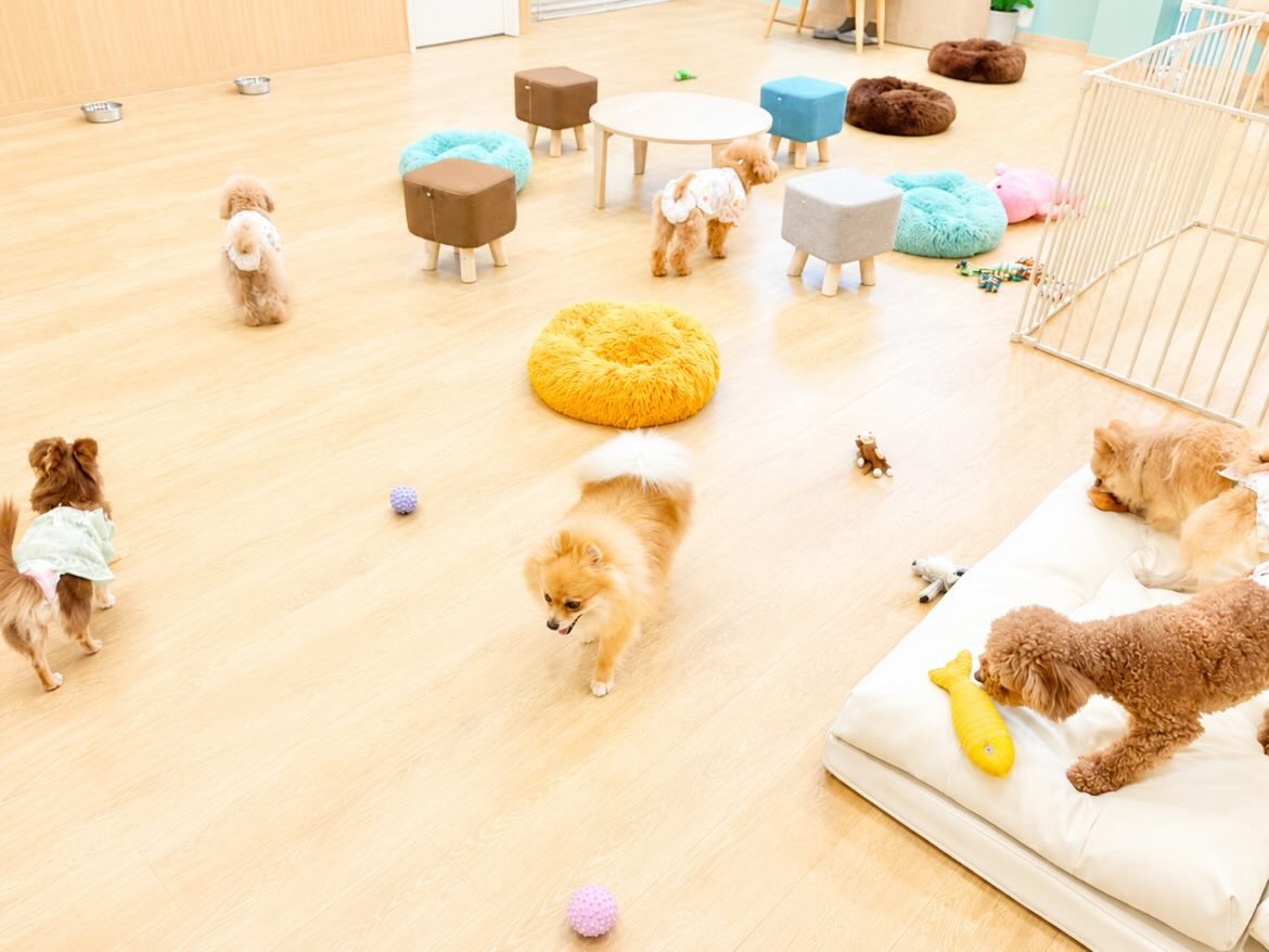 ANELLACAFE 高松中央店