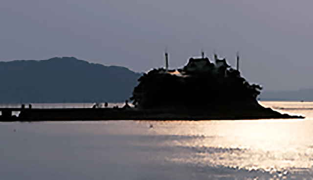 津島神社 夏季例大祭