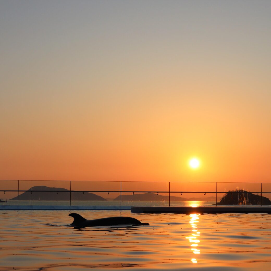 四国水族館 誰そ彼時 延長営業