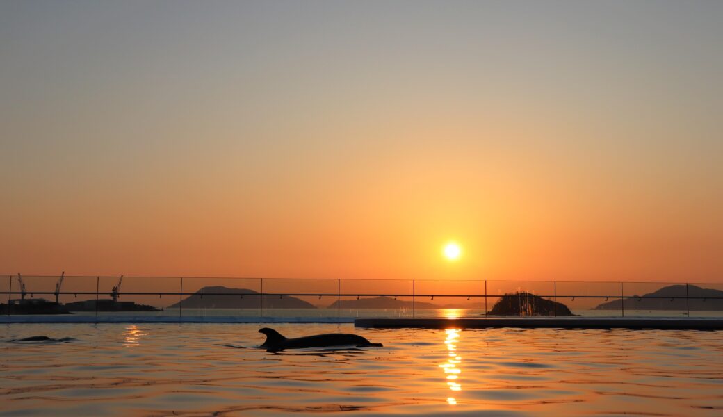 四国水族館で「誰そ彼時 延長営業」が2026年8月31日 (月)-9月30日 (水)に開催