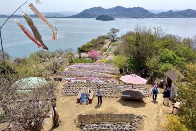 ジオで巡る志々島